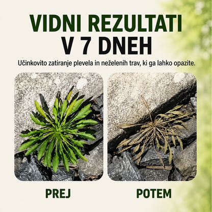Naturalny spray na chwasty i trawę — zdjęcie 5